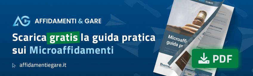 scarica gratis la guida sui microaffidamenti